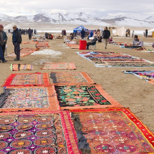 Из Алтая, по Чуйскому тракту — в Монголию на фестиваль беркутчи с проживанием в юрте