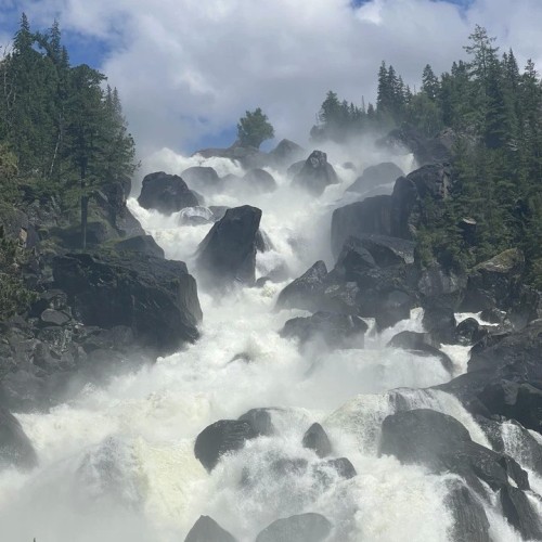 Алтайские тропы: красота природы с комфортом