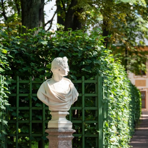 Летний сад — детям: познавательная прогулка