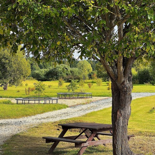 В Йошкар-Олу на выходные: обзорная экскурсия и посещение сыроварни