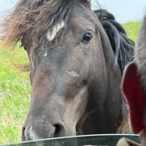 Увидеть душу Камчатки: джип-тур по неизведанным местам с круизом по Курильскому озеру (всё включено)