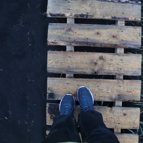 Джип-тур по Камчатке в мини-группе в июне: океан, морская прогулка, дегустации и экскурсии на выбор