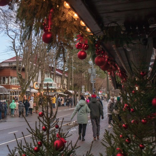 Замки, море и хомлины — лучшие места Калининградской области и дегустация на семейной сыроварне