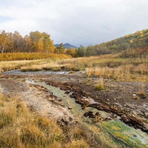 Большой поход с рюкзаками и палатками по Камчатке: вулканы, Тихий океан, термы и альпийские луга