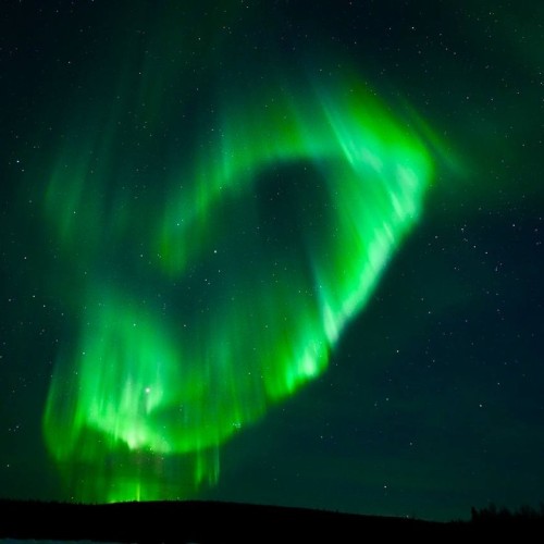 Океан впечатлений в Арктике: айс-флоатинг, северное сияние, морская прогулка и гастрономия
