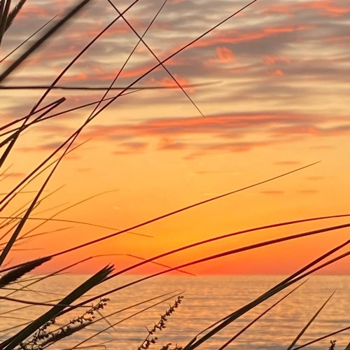 Живописные уголки янтарного края: по Калининградской области в мини-группе