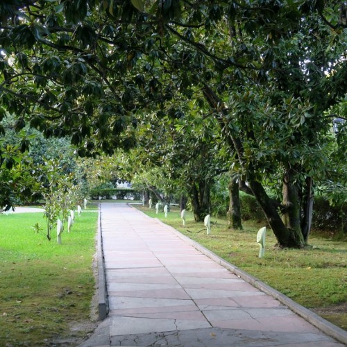 Walk & talk: экскурсия с коучем по парку «Ривьера»
