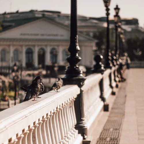 Треугольник гармонии Москвы