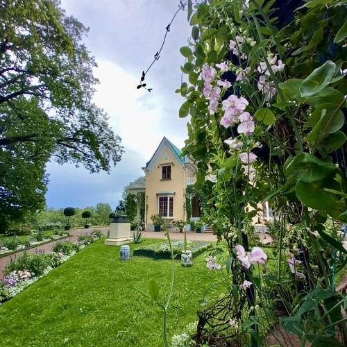 Александрия: открыть нетуристический Петергоф