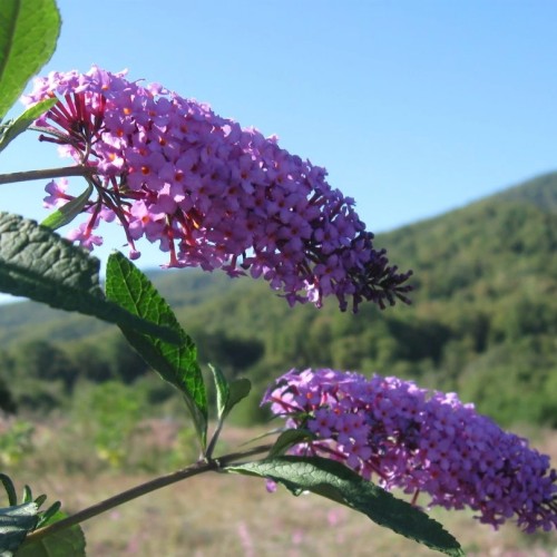 Перезагрузка в горах и на море в мини-группе