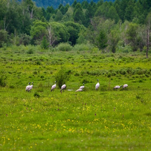 Наедине с Алтаем: высокогорные озёра, живописные долины и неземной ландшафт (всё включено)