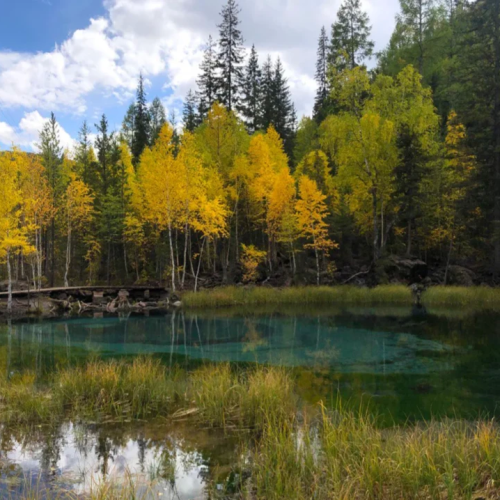 Возрождающая сила Алтая: ретрит-тур в женской компании