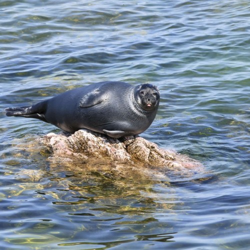 Индивидуальный джип-выезд по Баргузинской долине с посещением священных мест
