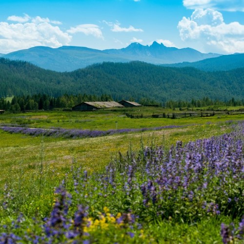 Главное на Алтае: автопутешествие в мини-группе
