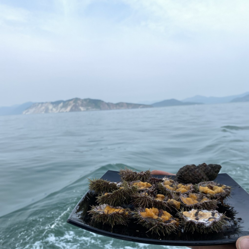 Большое путешествие по Камчатке: вулканы, глэмпинг в Мёртвом лесу и круиз в бухту Русская