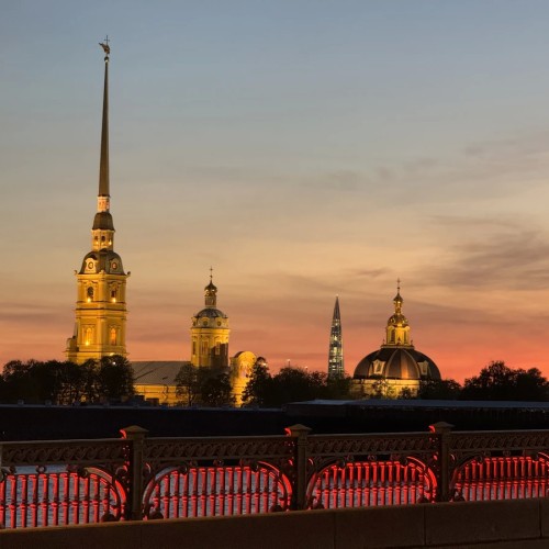 Петроградка: живая и уютная