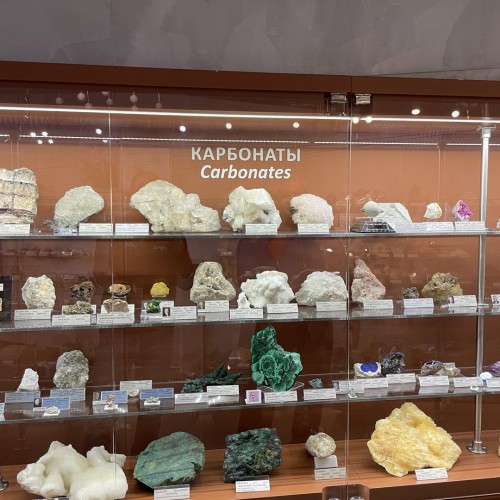 Своей компанией на Русский Север: Мурманск, Териберка, Кировск и саамы