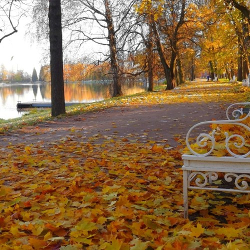 Всё о Царском селе, или Неизвестный город Пушкин