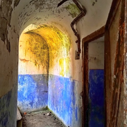 Из Петербурга — к фортам «Красная Горка», «Риф» и «Константин»