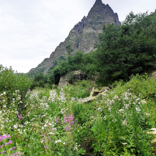 От предгорий Краснодарского края до лугов Красной поляны: треккинг-путешествие