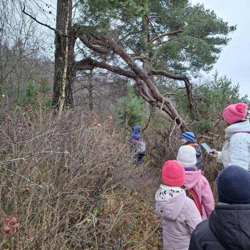 По следам кабанов: поход-экспедиция для юных туристов и их родителей (из Санкт-Петербурга)