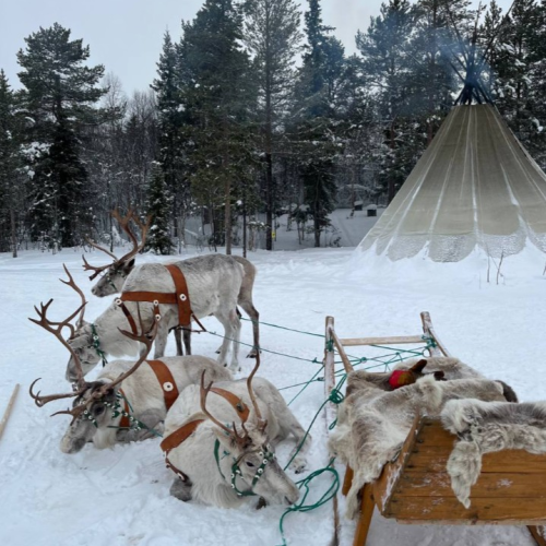 Перезагрузка на Кольском: видеть, чувствовать, удивляться