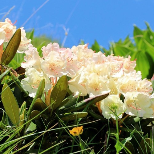 Высокогорный треккинг вокруг Эльбруса в Джилы-Су с проживанием в палатках