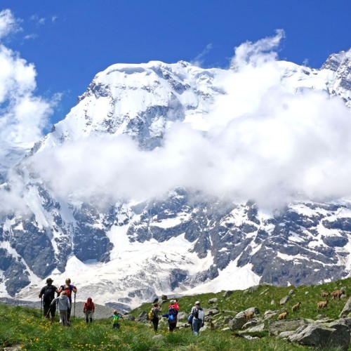 Треккинг налегке в Безенги с размещением в альплагере