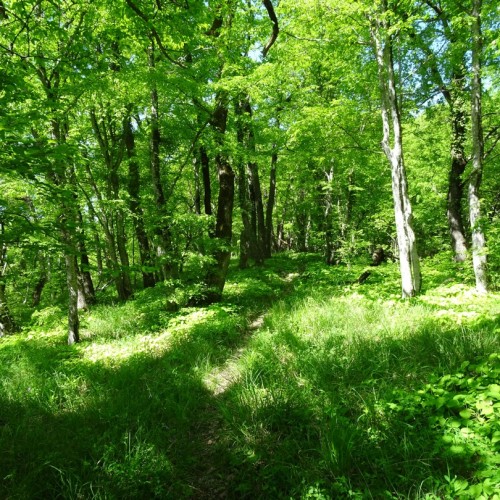 Перезагрузка в горах и на море в мини-группе
