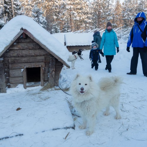 10 чудес Карелии за 2 дня