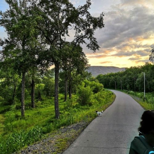 2500 км по Камчатке: вулканы, источники, океан