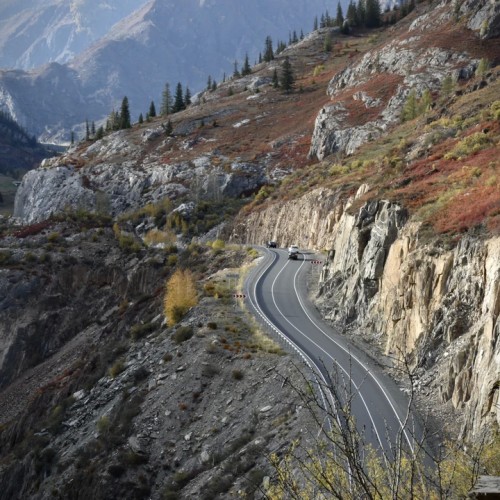 Когда Алтай оживает: цветение маральника, озёра и перевалы Чуйского тракта (мини-группа)