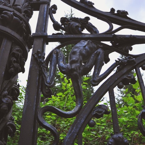 Забытое прошлое островов Петербурга