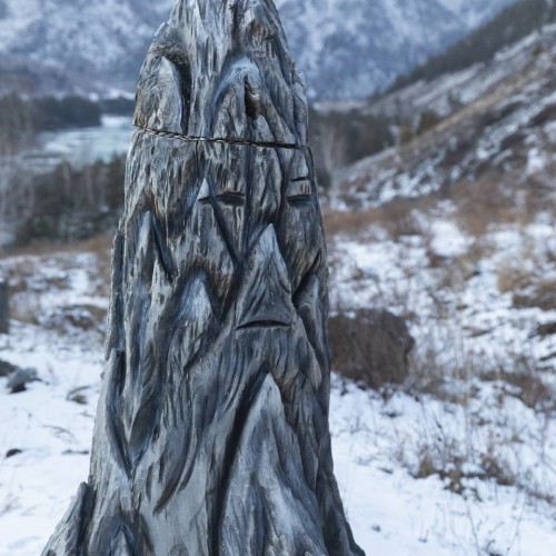 Отпуск на Алтае в мини-группе: релакс в глэмпинге, дегустация на пасеке и лёгкий экстрим