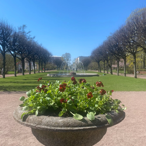 Смольный собор и Институт благородных девиц