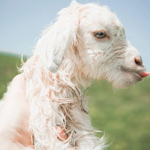 Молодёжный трип в Дагестан: главные места, мастер-классы и дискотеки в дружеской компании