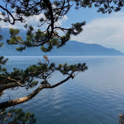 Всё многообразие Алтая: этнотур от высокогорья до степей с границей Монголии и Телецкого озера