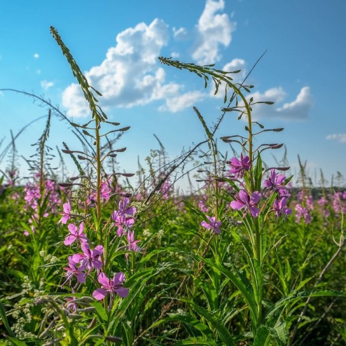 Комфортный треккинг-тур по национальным паркам Южного Урала