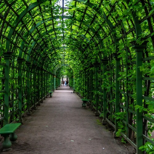 Квест-прогулка для детей 5–15 лет по Летнему саду