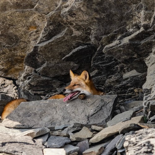 Индивидуально вдоль кромки океана: Владивосток и юг Приморья