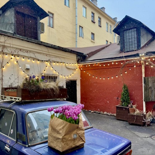 Петроградка: живая и уютная