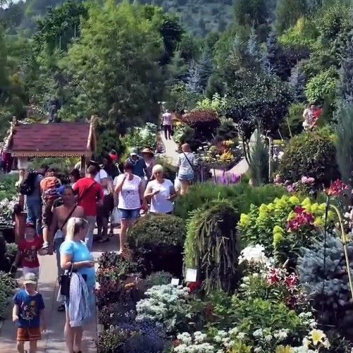 Сказка Алтайского Холмогорья