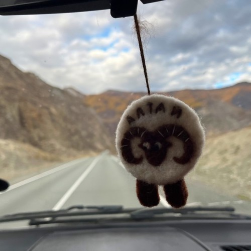 Из Алтая, по Чуйскому тракту — в Монголию на фестиваль беркутчи с проживанием в юрте