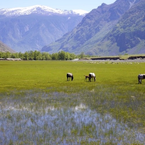От Горно-Алтайска до Монголии через Телецкое озеро: в мини-группе на Алтай
