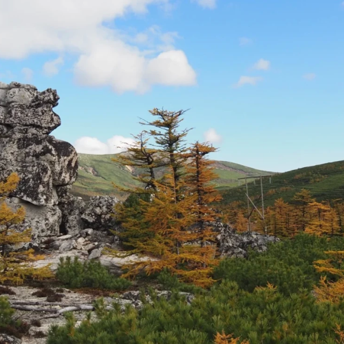 Колымские приключения: Магадан и окрестности в формате «всё включено»