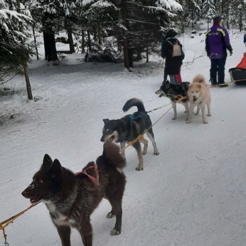 Экспресс-тур из Петербурга в Карелию с дегустациями и кулинарными мастер-классами