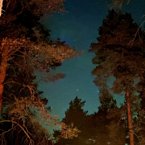 На сапбордах по реке Оредеж в мини-группе со съёмкой