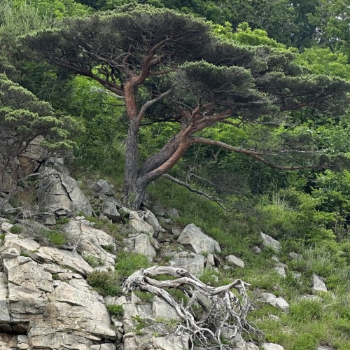 Гастрономическое путешествие в русский Сан-Франциско