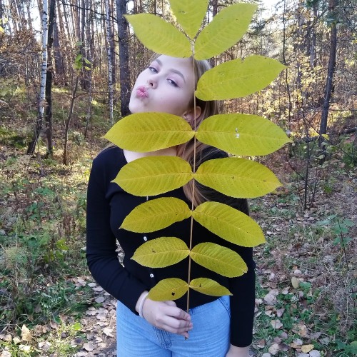 Фотопрогулка по Ботаническому саду Академгородка