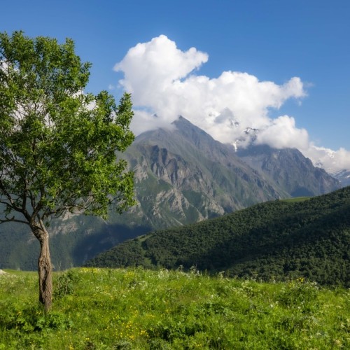 На джипах по заповедным местам Северной Осетии